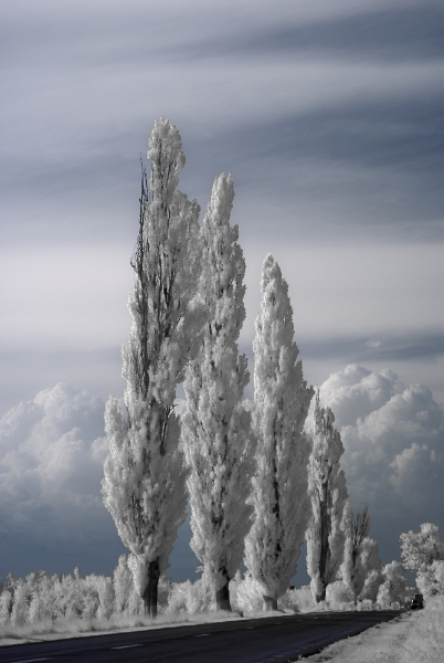 Gabriel Stanciu - Drumul spre casă.jpg